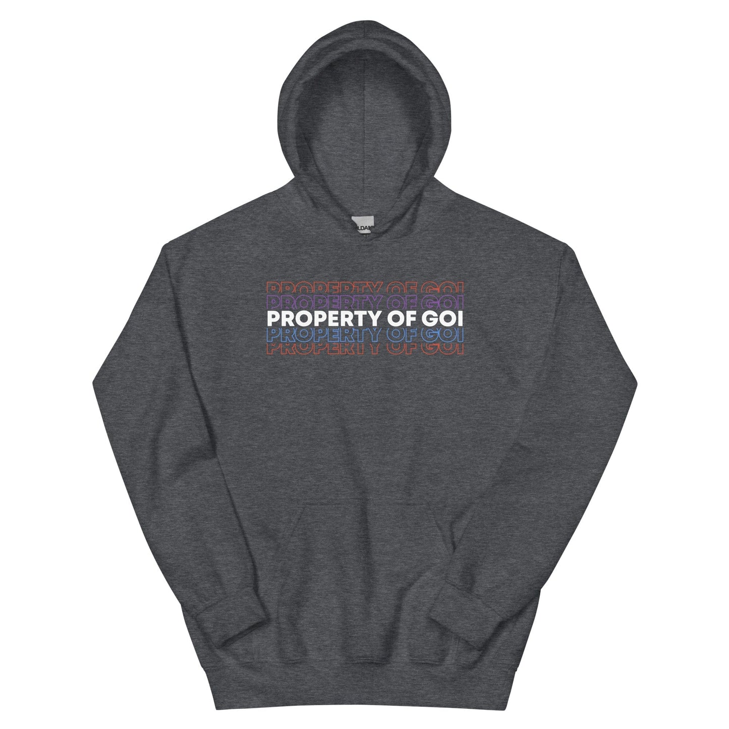 Property of God of Israel Hoodie - Perfect for Israelites, Black Hebrew Israelites, 12 Tribes of Israel, Black Jews and all people of faith.