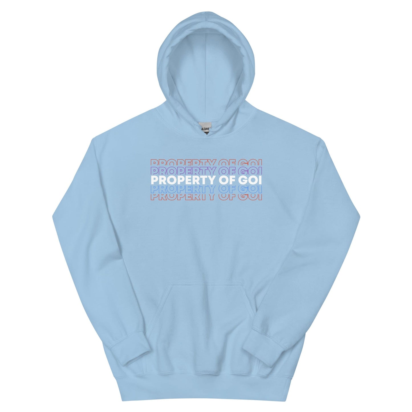 Property of God of Israel Hoodie - Perfect for Israelites, Black Hebrew Israelites, 12 Tribes of Israel, Black Jews and all people of faith.