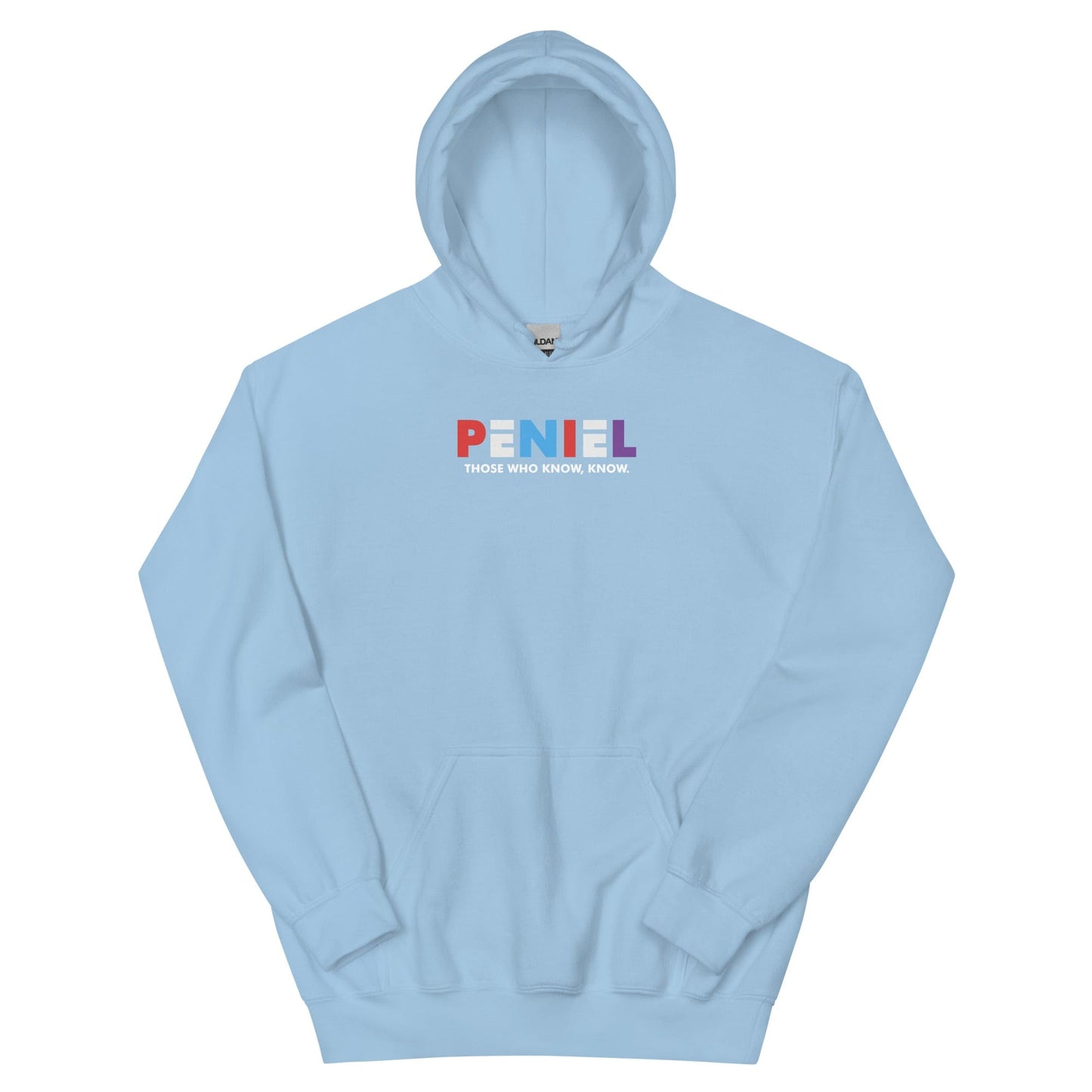 Peniel Hoodie - Perfect clothing for Israelites, Black Hebrew Israelites, 12 Tribes of Israel, Black Jews and all people of faith.