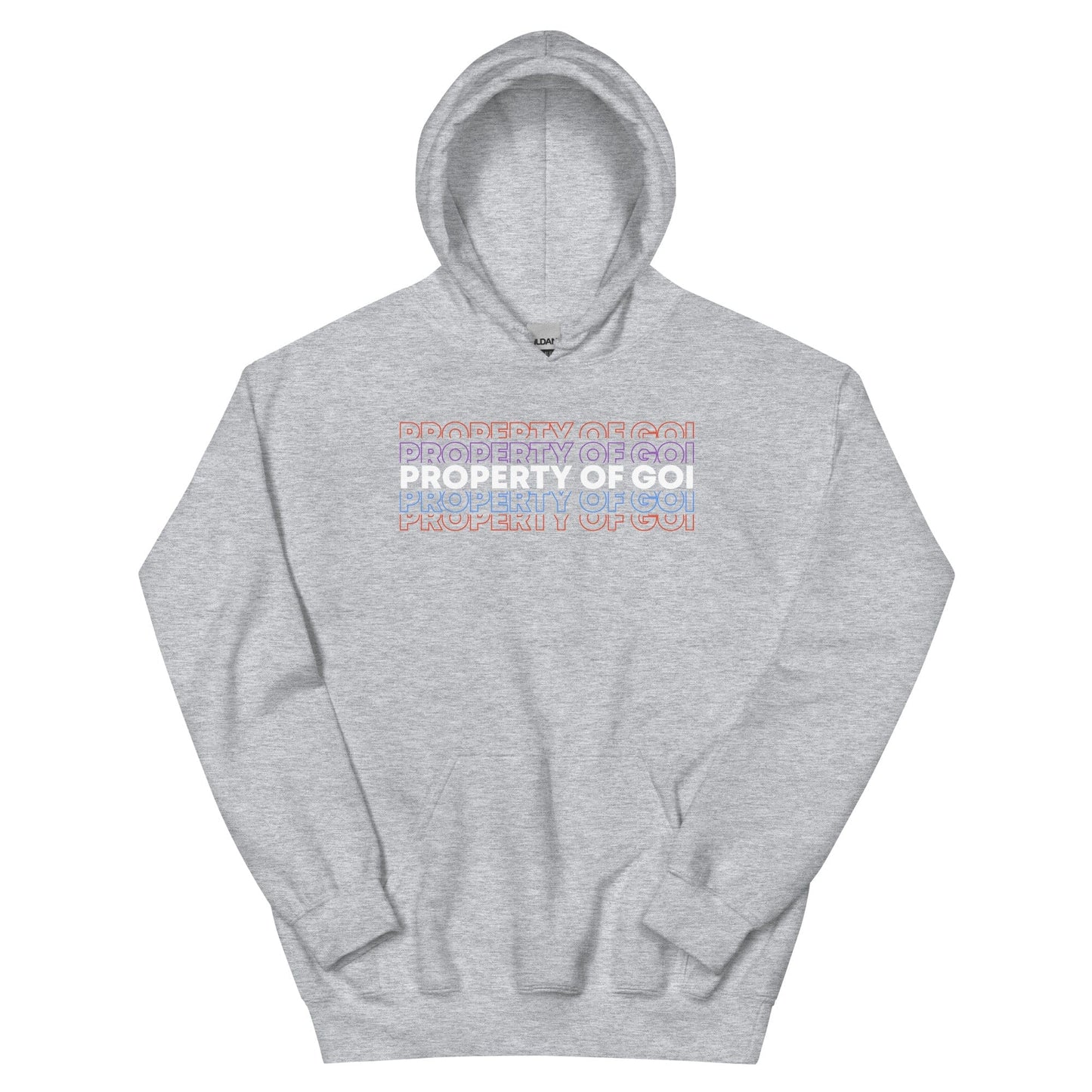 Property of God of Israel Hoodie - Perfect for Israelites, Black Hebrew Israelites, 12 Tribes of Israel, Black Jews and all people of faith.