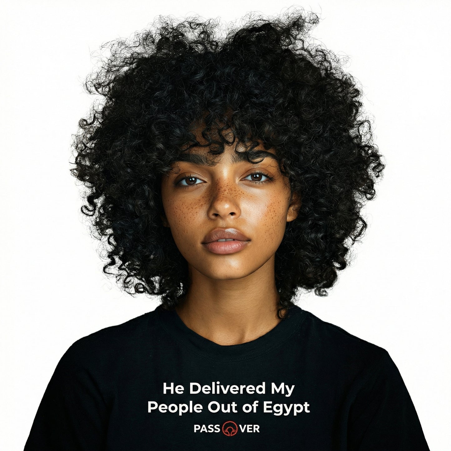 PASSOVER T-Shirt (Unisex)