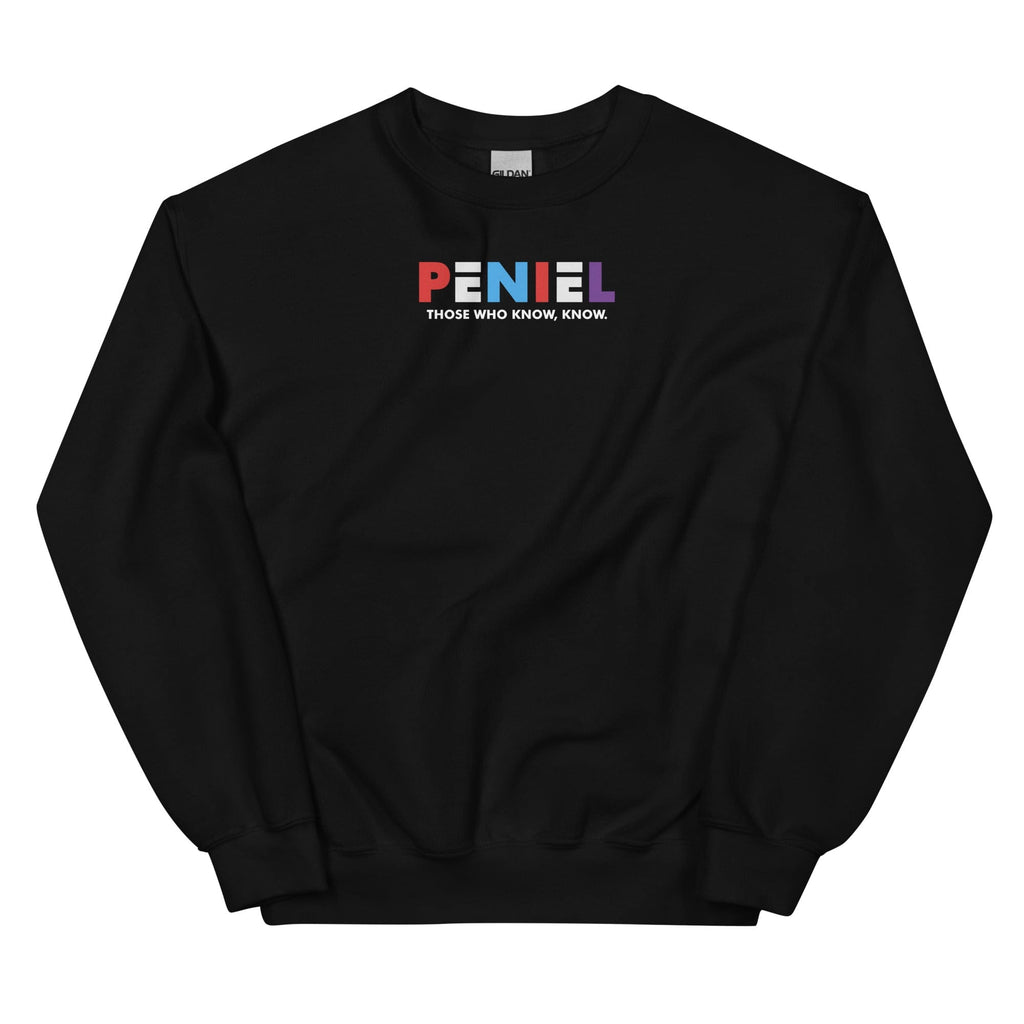 Peniel Sweatshirt - Perfect clothing for Israelites, Black Hebrew Israelites, 12 Tribes of Israel, Black Jews and all people of faith.