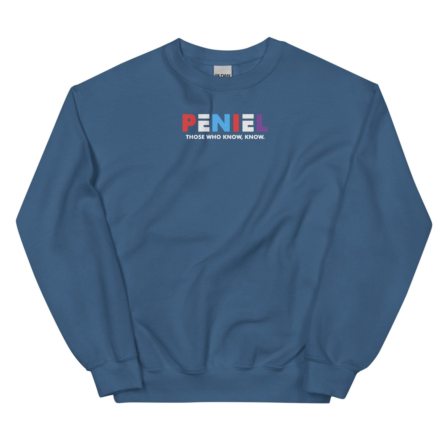 Peniel Sweatshirt - Perfect clothing for Israelites, Black Hebrew Israelites, 12 Tribes of Israel, Black Jews and all people of faith.