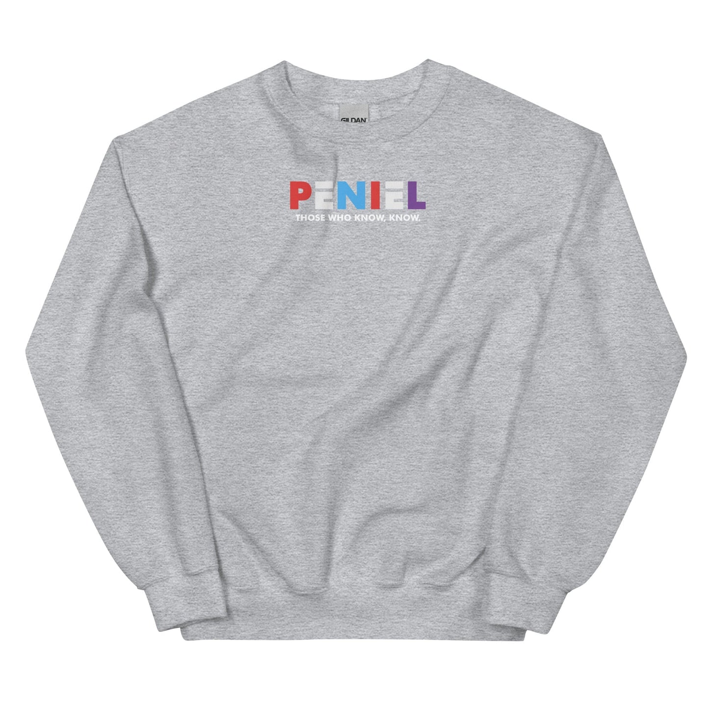 Peniel Sweatshirt - Perfect clothing for Israelites, Black Hebrew Israelites, 12 Tribes of Israel, Black Jews and all people of faith.