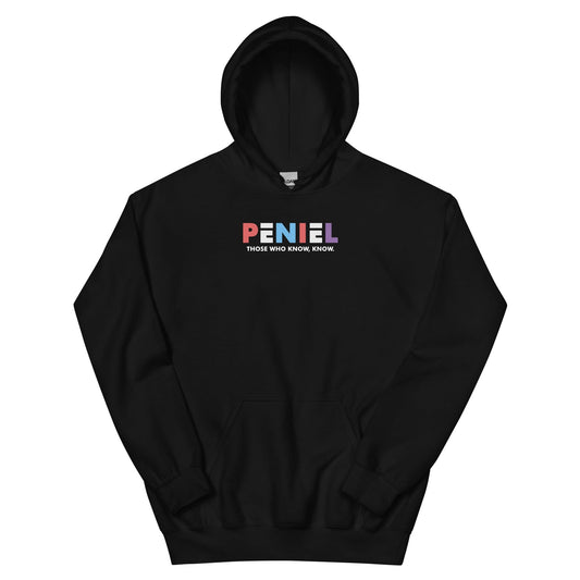 Peniel Hoodie - Perfect clothing for Israelites, Black Hebrew Israelites, 12 Tribes of Israel, Black Jews and all people of faith.