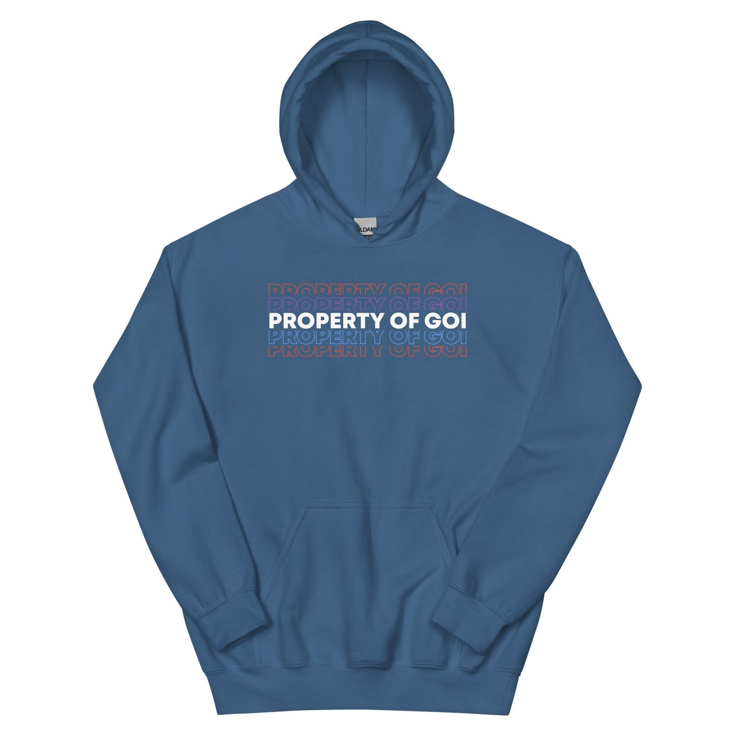 Property of God of Israel Hoodie  - Perfect for Israelites, Black Hebrew Israelites, 12 Tribes of Israel, Black Jews and all people of faith.